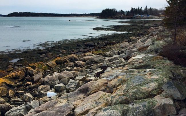 Hodgkins Haven, Oceanfront Cottage
