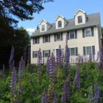 Acadia Dreamscape, vacation house rental, summer, lupine, Maine