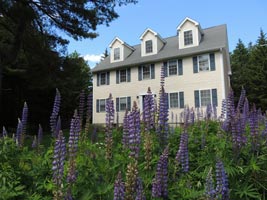 Acadia Dreamscape, vacation house rental, summer, lupine, Maine