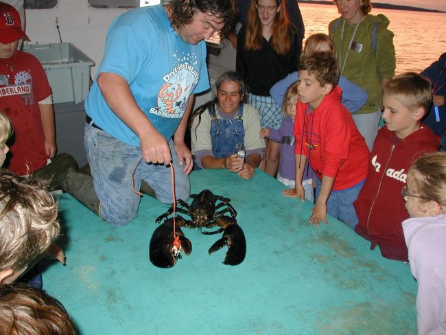 Diver Ed, Bar Harbor, indoor educational children and adult activity