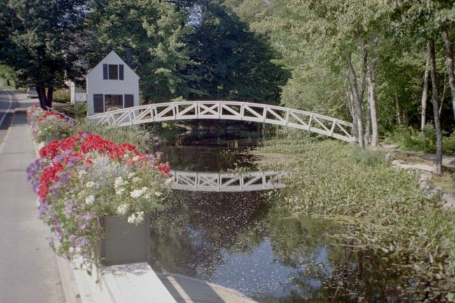 Somesville Bridge, village, flowers, trees, stream
