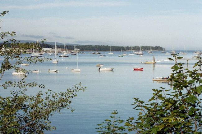 Southwest Harbor, ocean, sailboats, scenic view
