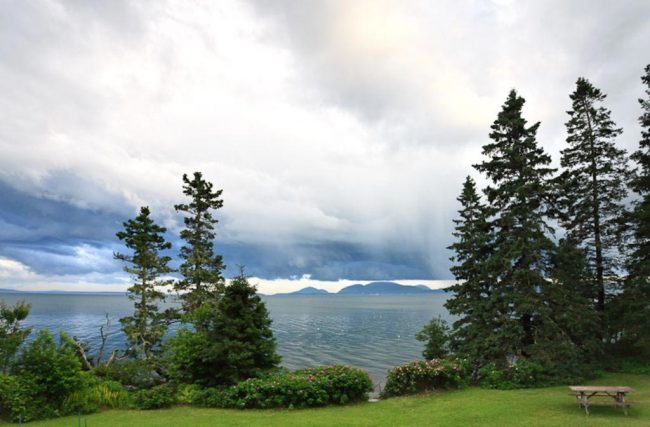 View