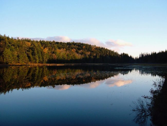 Hodgdon Pond looking from Cottage 1