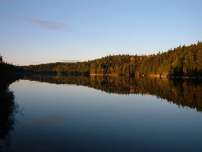 Pond at dusk