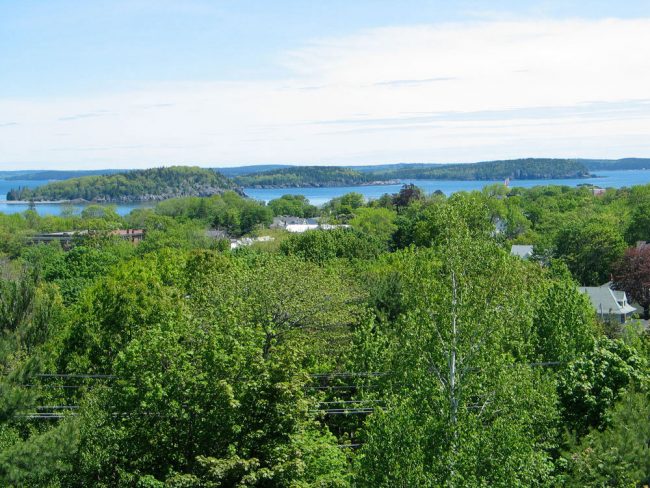 View