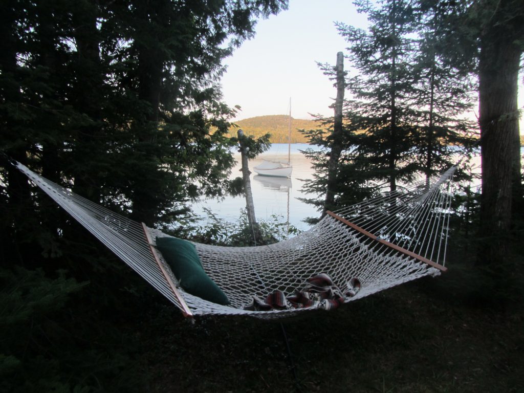Log Cabin on Davis Pond - hammock